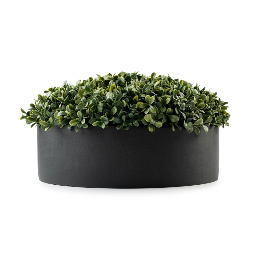 DH Black Round Boxwood Pot