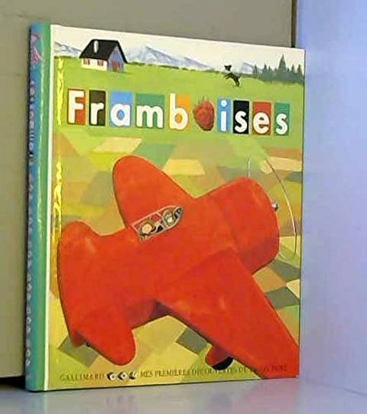 Amazon.fr - Framboises - Bichonnier, Henriette, Chabot, Jean-Philippe - Livres