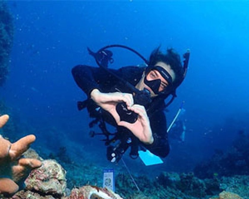 Snorkel and Scuba Dive Adventure, 2 Days - Great Barrier Reef