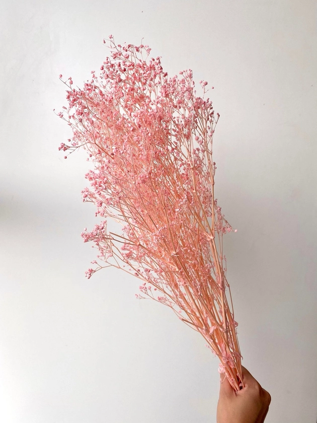 Preserved Mini Baby's Breath - Baby Pink — Dried & Preserved Flowers | Fleury