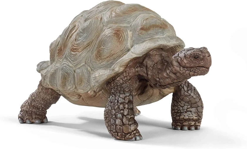 schleich 14824 WILD LIFE Figurine de Tortue Terrestre Géante - Figurine d'Animal Sauvage - Cadeau Garçons et Filles Jouet 3 ans et Plus