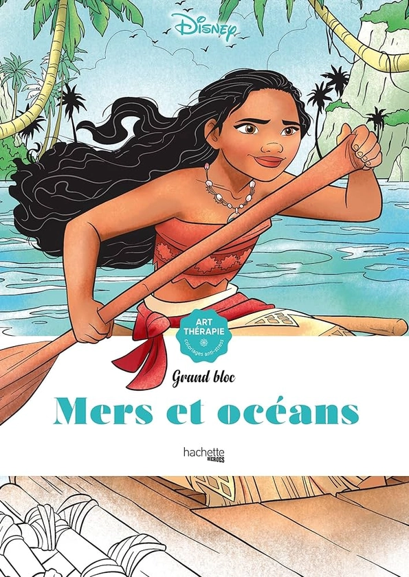 Mers et océans : Hermouet, Veronique: Amazon.fr: Livres
