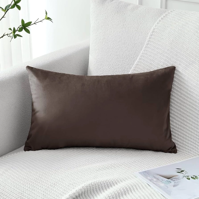 Artscope Luxury Velvet Pillow Covers Decorative Rectangle Pillowcases Soft Solid Cushion Cases for Couch Sofa Bedroom Car Decor 16x24 Inch Chocolate Brown