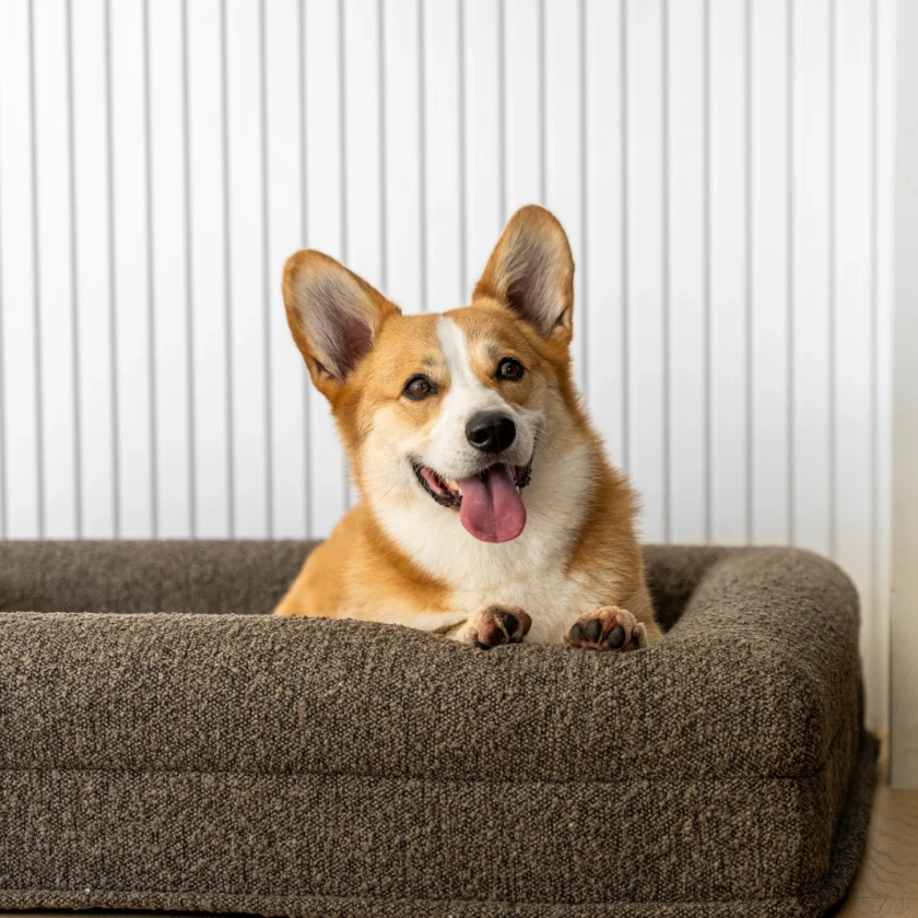 Boucle Luxury Pet Bed - Brown