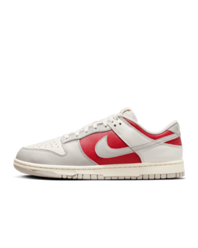 Nike Dunk Low Retro Shoes