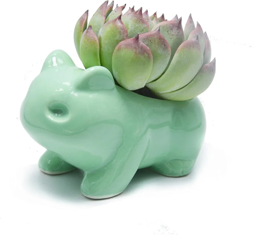 MengCat Ceramic Flower Pots, Cute Cartoon Succulent Plant Pot Green Animal Shaped DIY Small Plant Pots, Art Vase Flowerpot for Home Decorative Office Desktop Garden