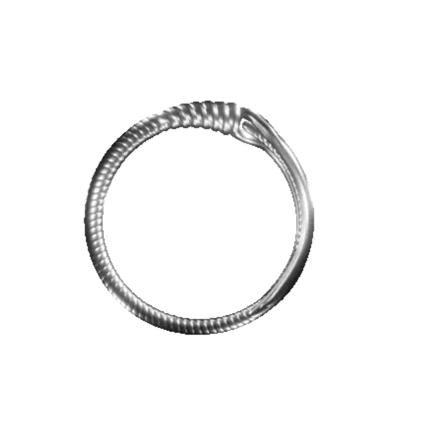 Longinus Ring