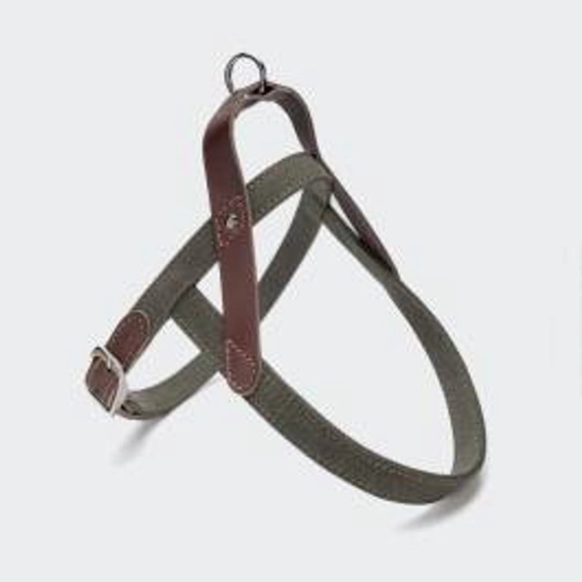 Harness Tivoli Olive