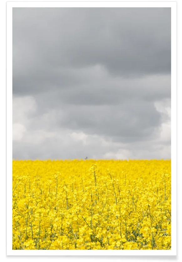 Grey Sky Meets Yellow Fields affiche