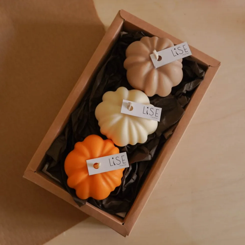 Coffret Citrouilles - Lise l'atelier