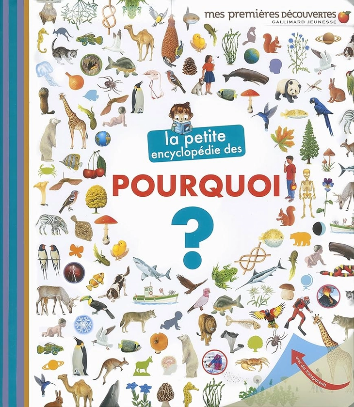 Amazon.fr - LA PETITE ENCYCLOPEDIE DES POURQUOI - Lamoureux,Sophie, un collectif d'illustrateurs - Livres