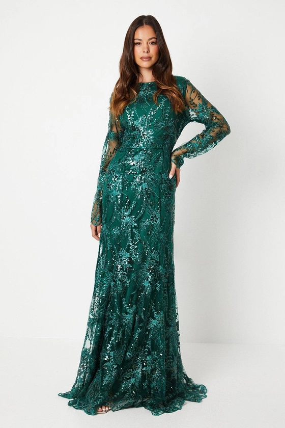 Long Sleeve Embroidered Mesh Fishtail Gown