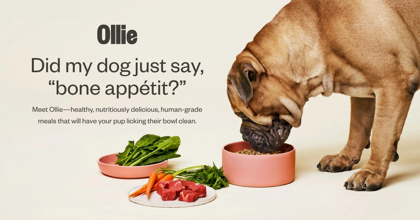 Did my dog just say, “bone appétit?”