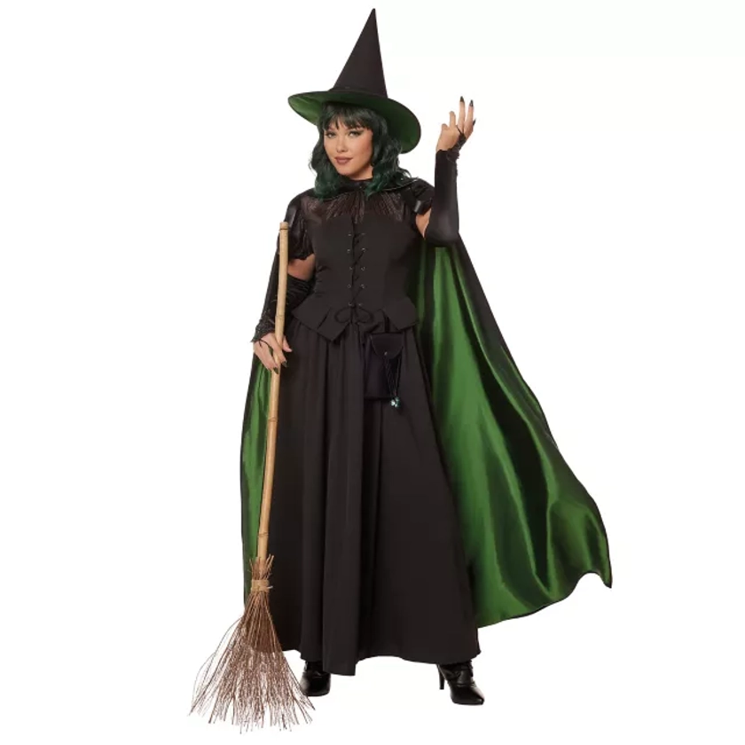 Adult Wicked Witch Costume The Signature Collection - The Wizard of Oz - Spirithalloween.com