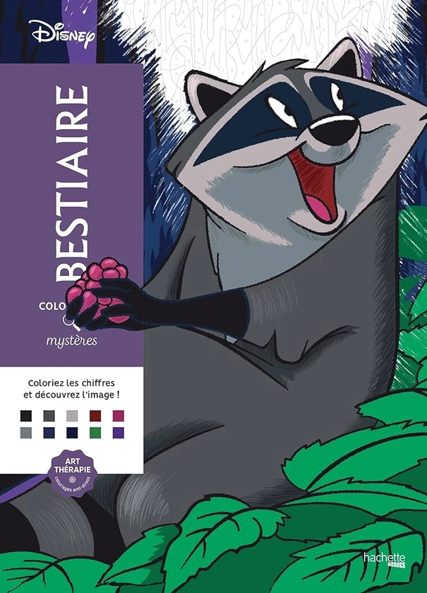 Coloriages mystères Disney - Bestiaire : Karam, Alexandre: Amazon.fr: Livres