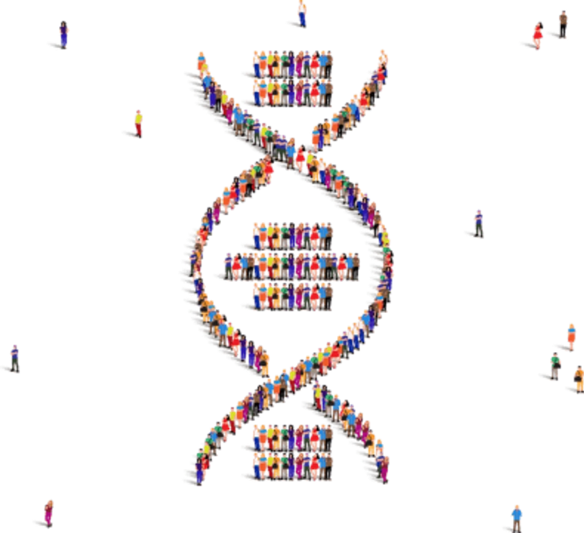 DNA Testing Kit – Bio-Synergy DNA