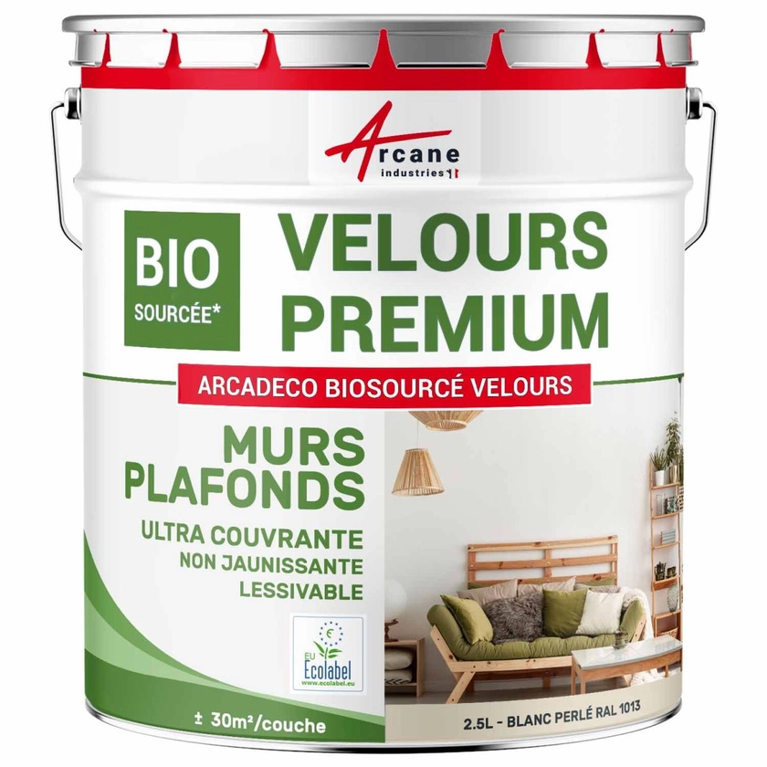 Peinture Velours Biosourcée pour mur et plafond : Arcadéco Biosourcée