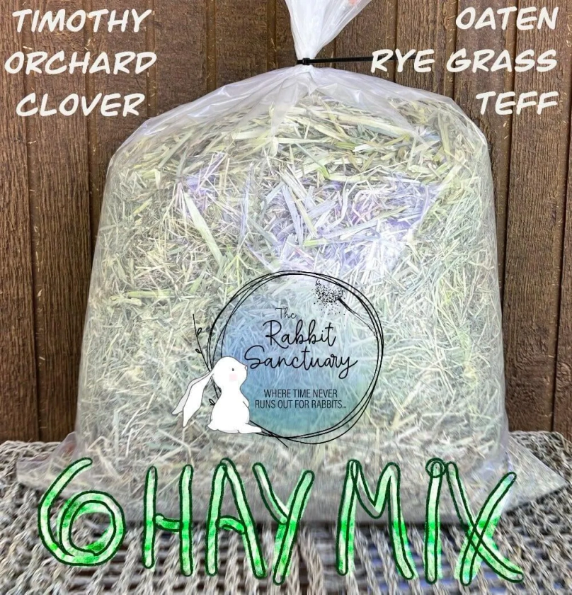 Quality Six Hay Mix %sep Small Pets | Teacup Nethies