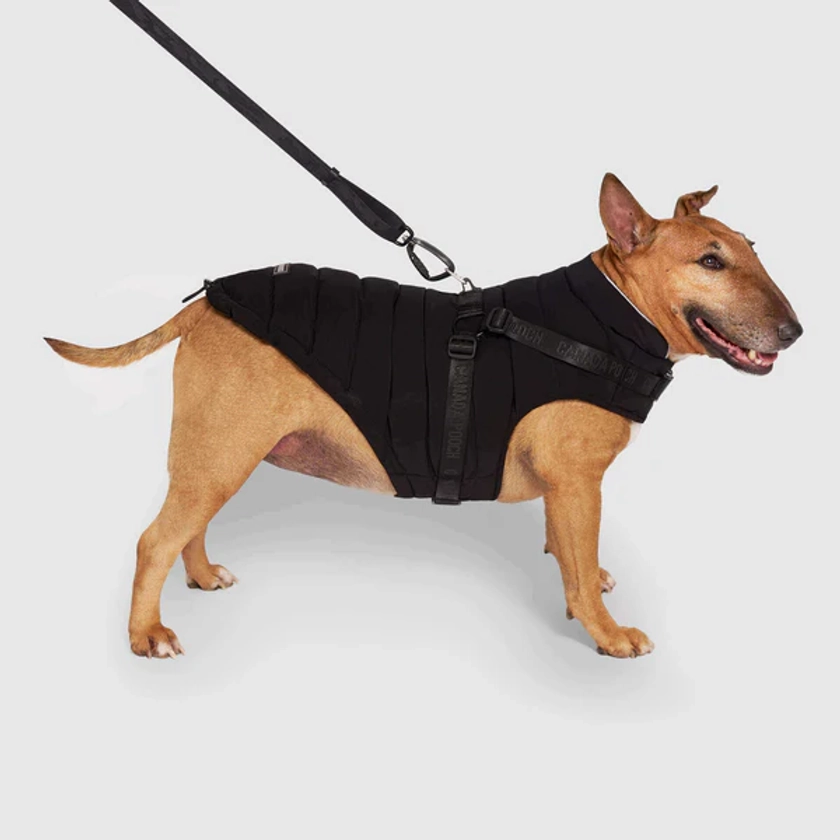 The Harness Puffer - Dog Jacket with Harness | Canada Pooch