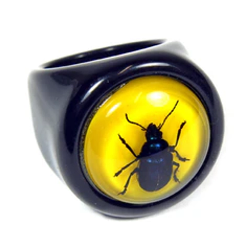 R0016
Blue Beetle Ring - REALBUG
