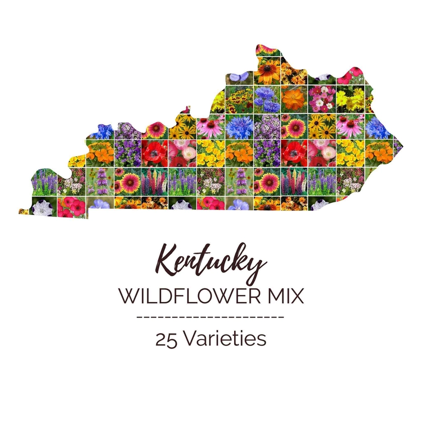 Kentucky Wildflower Seed Mix | Eden Brothers