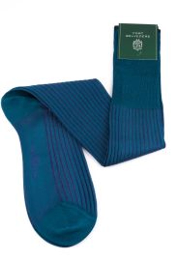 Teal and Purple Shadow Stripe Ribbed Socks Fil d'Ecosse Cotton - Fort Belvedere