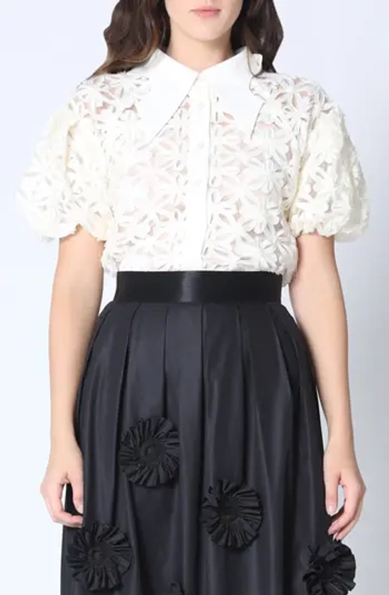 GRACIA Floral Embroidered Button-Up Shirt | Nordstromrack