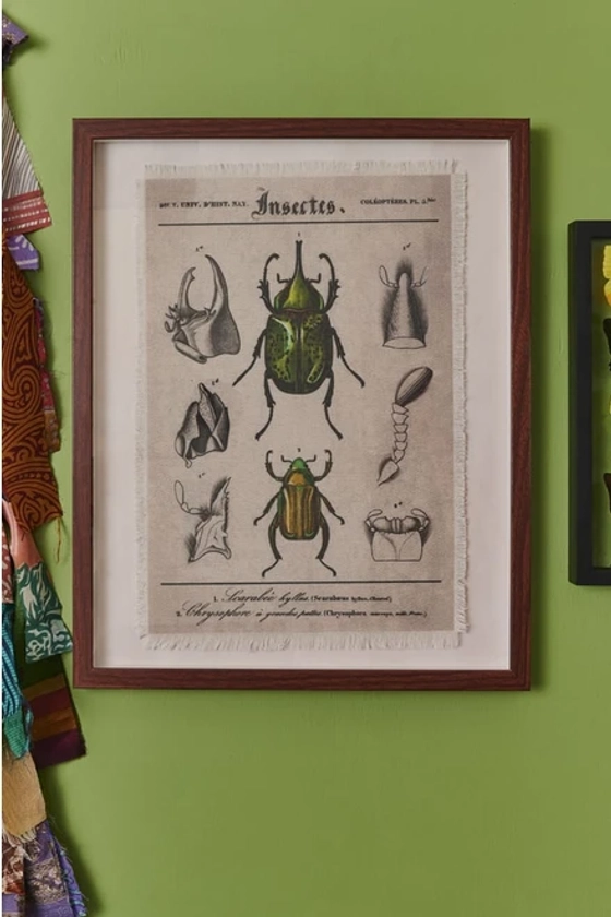 Beetles Framed Wall Art