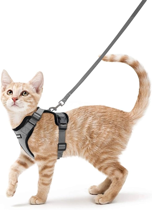 rabbitgoo Cat Harness and Lead Set, Escape Proof Kitten Harness with Cat Leash Metal Ring, Lightweight Soft, Reflective Adjustable Vest Harnesses for Small Cat Walking Travel XS, Grey