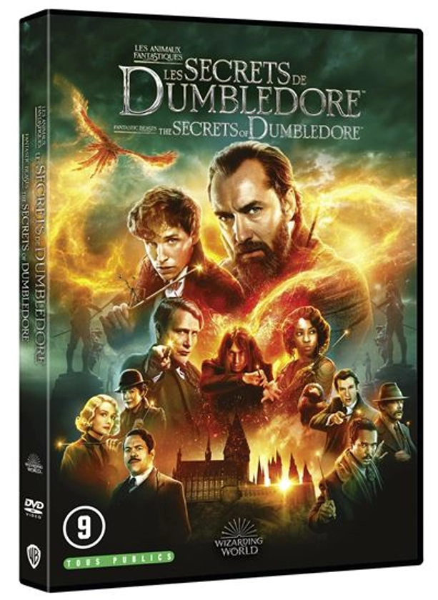 Les Animaux fantastiques 3 : Les Secrets de Dumbledore DVD