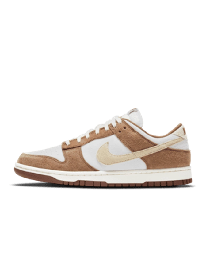 Chaussure Nike Dunk Low Retro Premium pour Homme