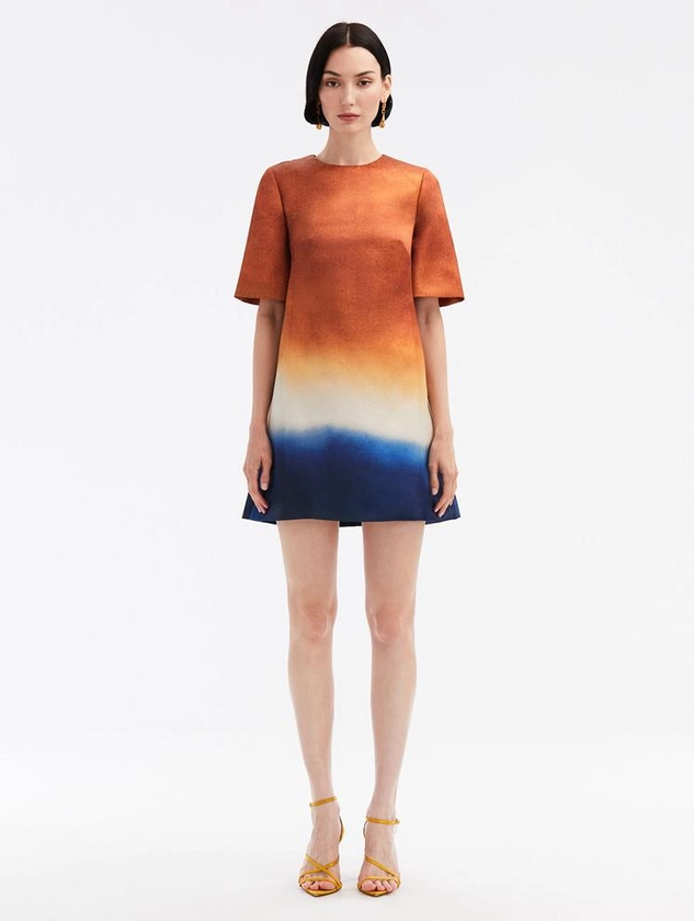 Abstract Ombré Shift Dress