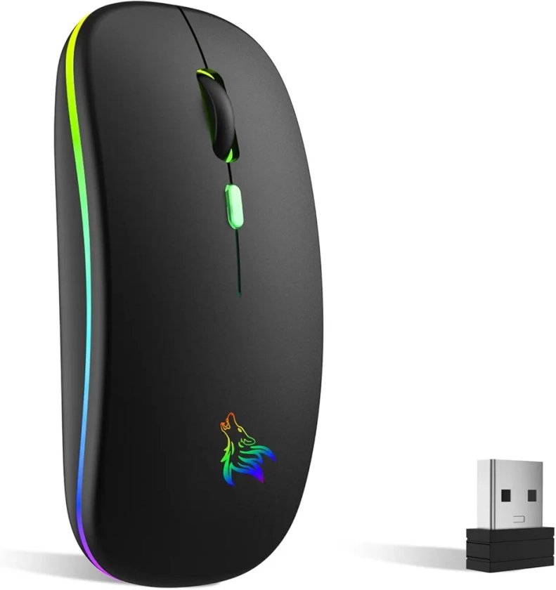 TQQ Souris sans Fil Rechargeable, Souris rétroéclairée de 7 Couleurs avec Mini récepteur USB de 2,4 GHz, Souris Gaming, Compatible avec Ordinateur Portable, PC, Ordinateur, Chromebook, Notebook