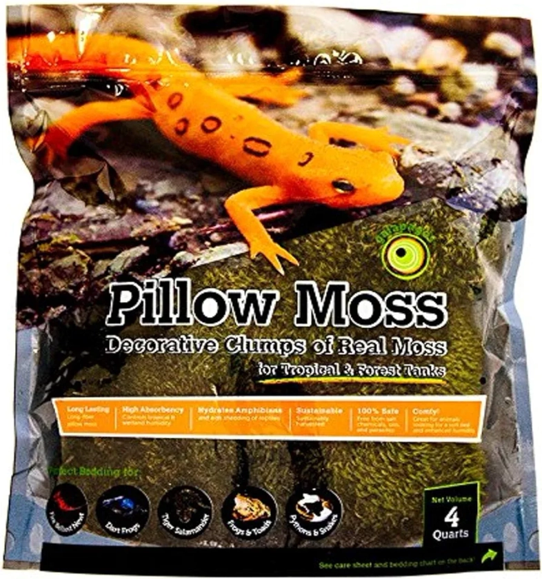 Galápagos (05234) Pillow Moss, Clumps of Real Moss, Natural, 4QT,Green