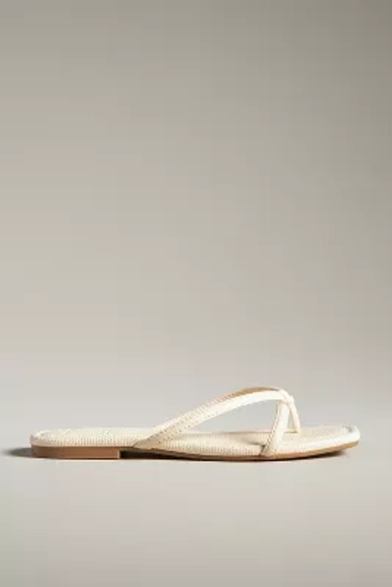 Dolce Vita Lucca Thong Sandals