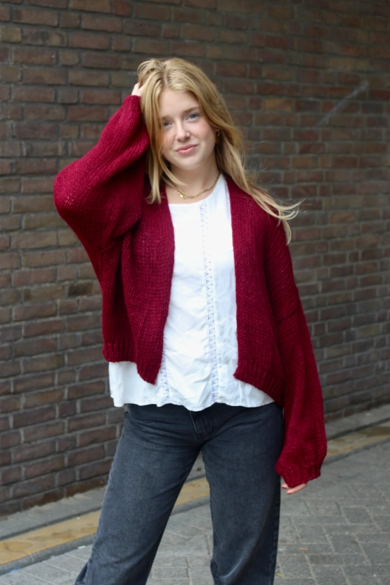 Knit vest SHORT- bordeaux - Fashiontiger.nl