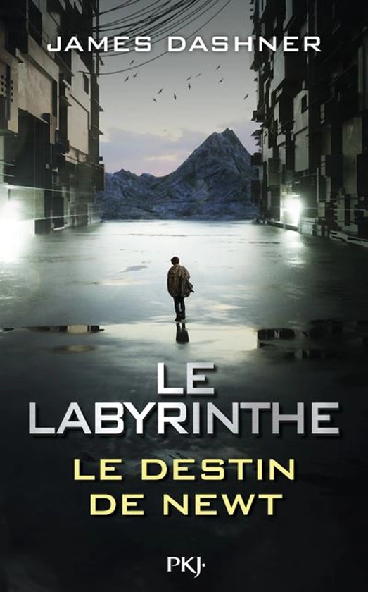 Le Labyrinthe -  : Le Labyrinthe - Le destin de Newt