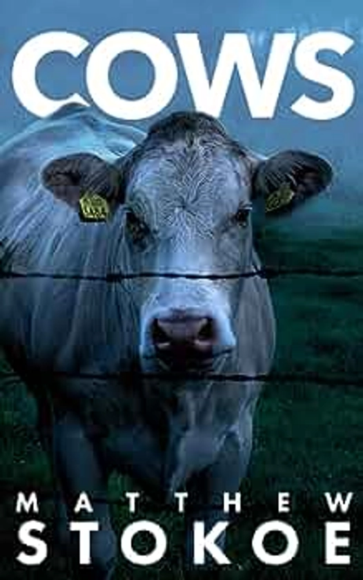 Cows : Stokoe, Mr Matthew: Amazon.nl: Boeken