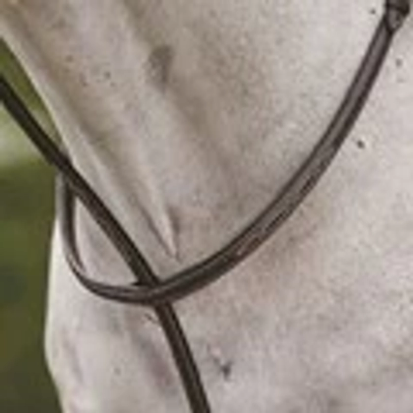 Collegiate Raised Fancy Stitched Standing Martingale