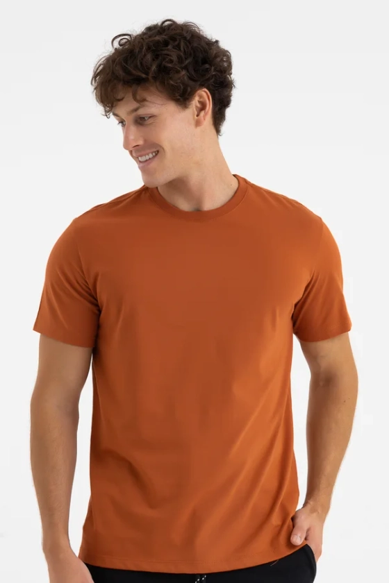 Camiseta Masculina Manga Curta Básica Premium Lisa Marrom Clay