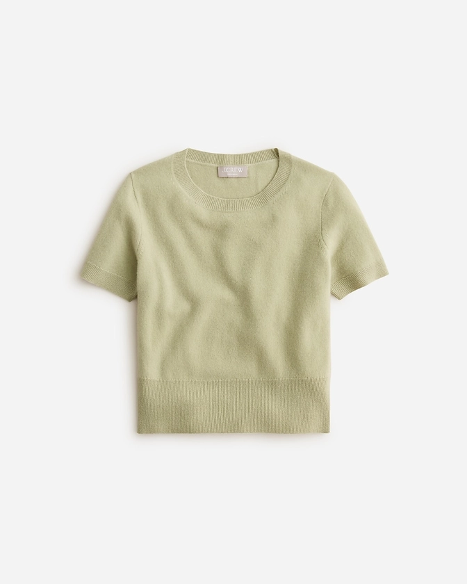 Cashmere shrunken T-shirt