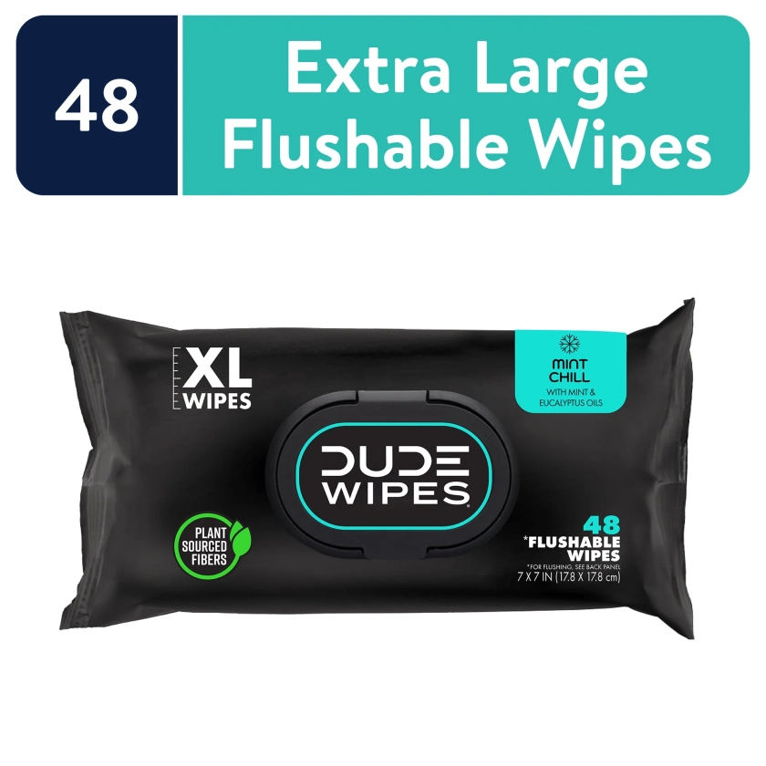 DUDE Flushable Wipes for Men, Mint Chill, 48 Count