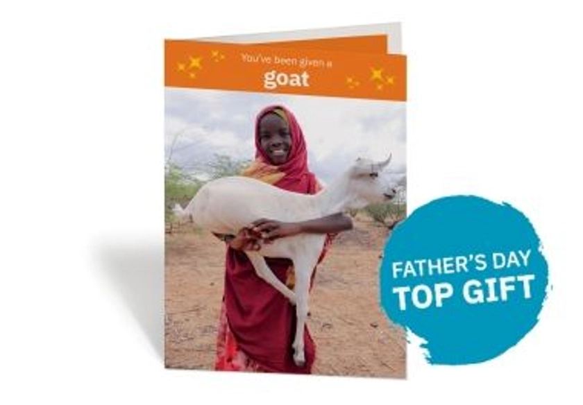Donate a Goat | Alternative Charity Gifts