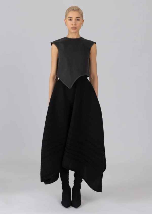 Asymmetrical Pleated Skirt • ESTHE