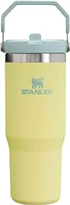 Stanley IceFlow Stainless Steel Tumbler - Vacuum Insulated Water Bottle for Home, Office or Car Reusable Cup with Straw Leak Resistant Flip Cold for 12 Hours or Iced for 2 Days, Pomelo, 30 OZ / 0.89 L