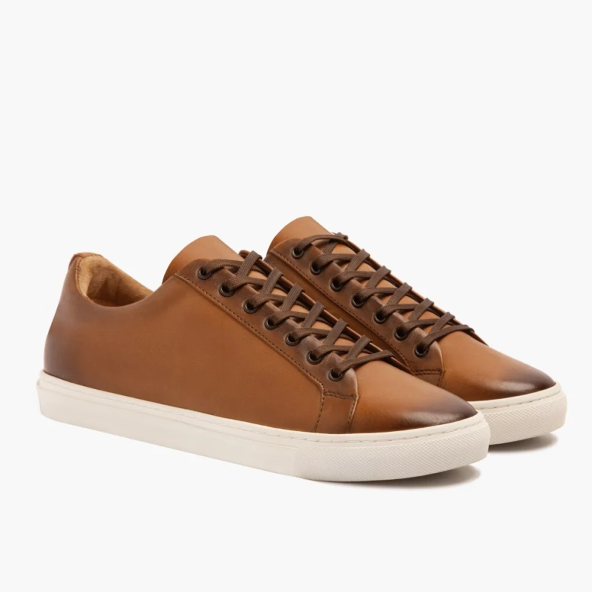 Premier Low Top | Toffee