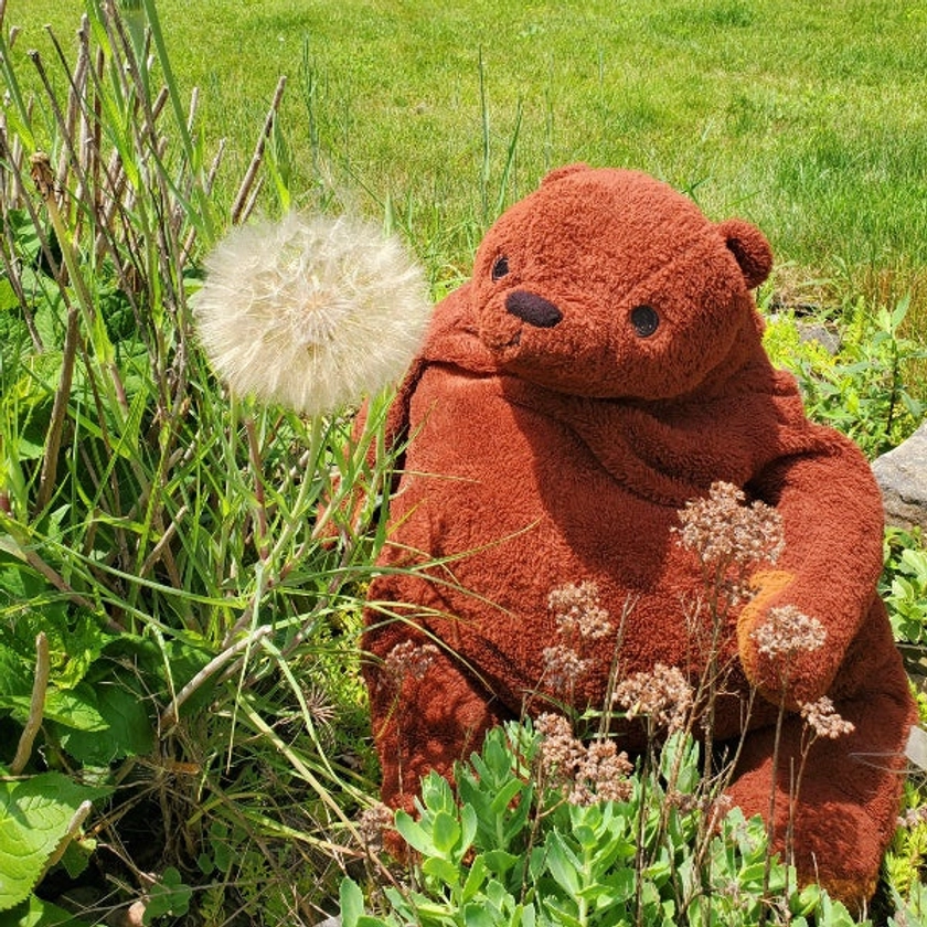 Jumbo Plush Skoggy Bear™ for Sale