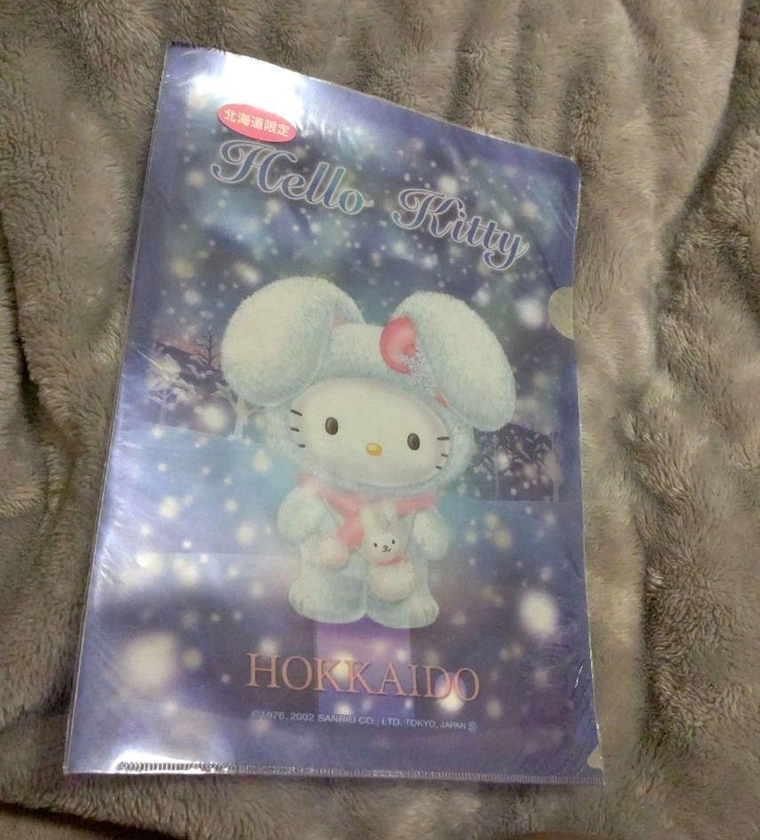 Hello Kitty 190 Hokkaido Limited Snow Rabbit A4 Clear File 2002 With Dents