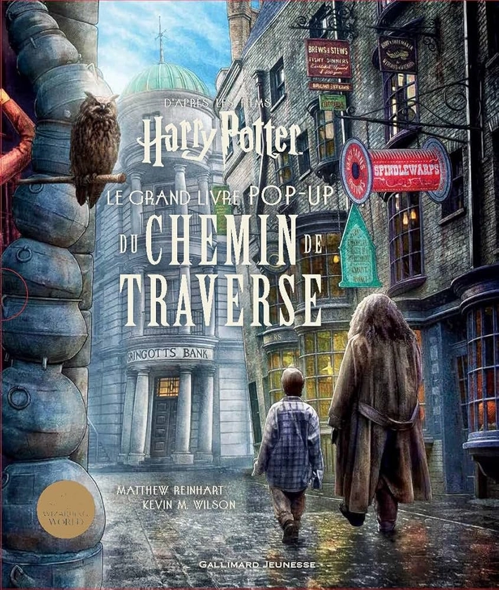 HARRY POTTER - LE GRAND LIVRE POP-UP DU CHEMIN DE TRAVERSE