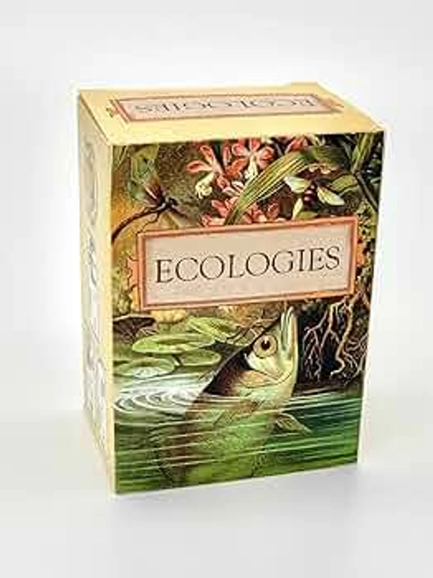 Montrose Biology Ecologies Card Game - Use Science to Build Food Webs in 7 Biomes - Beautiful Vintage Nature Art for The Classroom or Game Night